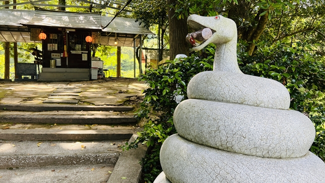 蛇だらけの神社に行ってみた 神秘的な蛇王神社に興味津々