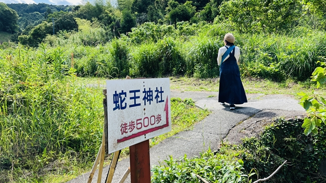 蛇だらけの神社に行ってみた 神秘的な蛇王神社に興味津々