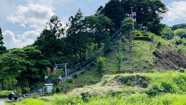 蛇だらけの神社に行ってみた 神秘的な蛇王神社に興味津々