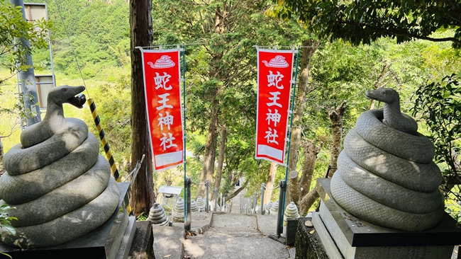 蛇だらけの神社に行ってみた 神秘的な蛇王神社に興味津々