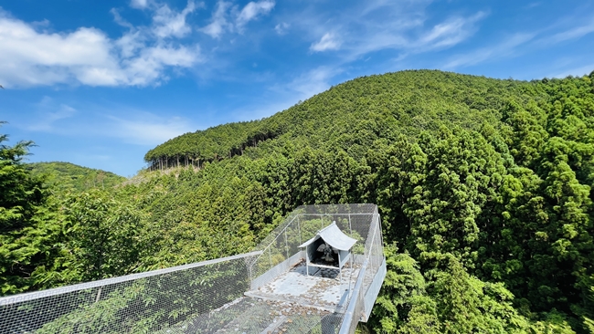 蛇だらけの神社に行ってみた 神秘的な蛇王神社に興味津々