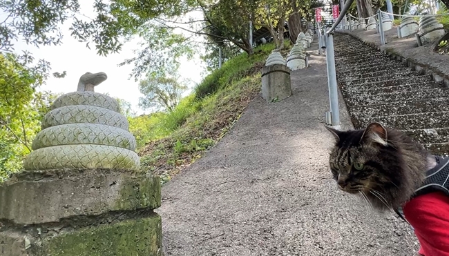 蛇だらけの神社に行ってみた 神秘的な蛇王神社に興味津々