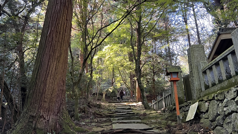 西山興隆寺に猫のトラちゃんが行くぞ！ 干支の切り絵、紅葉満喫