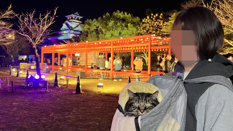 お正月はおねえちゃんと一緒にNAKED夜まつり高知城へ行ったよ。
