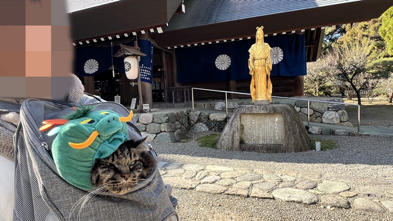 伊曽乃神社（いそのじんじゃ）に行ってみた！愛媛県のパワースポット