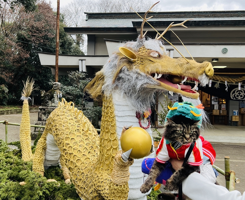 毎年恒例、大宮神社の干支の巨大オブジェ！今年は黄金の龍でした！
