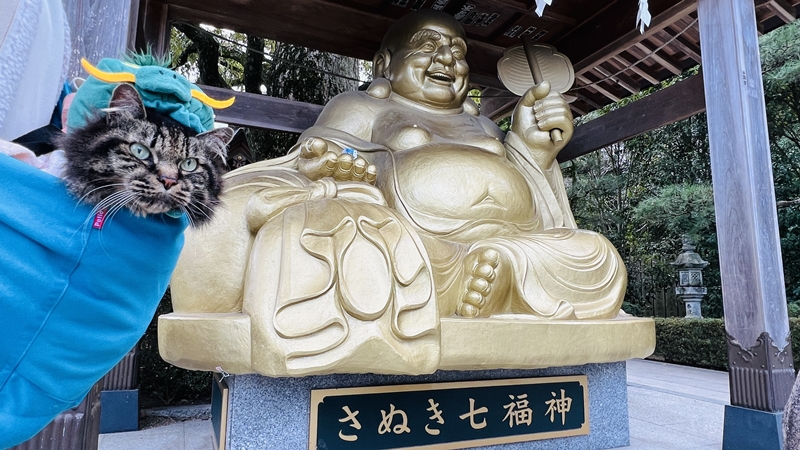香川県の最強パワースポット！ 田村神社の龍神像を見に行ったよ。
