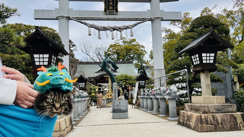 香川県の最強パワースポット！ 田村神社の龍神像を見に行ったよ。