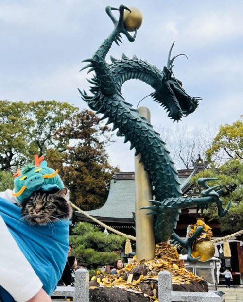 香川県の最強パワースポット！ 田村神社の龍神像を見に行ったよ。