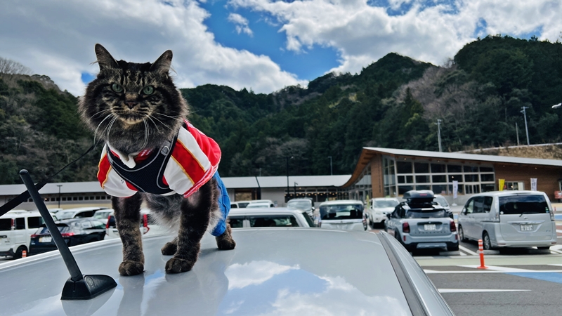 猫とお出かけ 道の駅まきのさんの道の駅・佐川に行ってみた♪