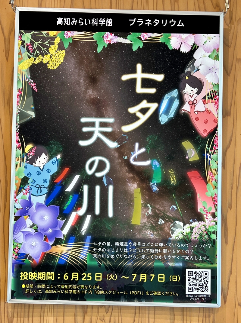 今日も暑い！ こんな暑い日に飼い主は歩いてどこかにお出かけ！