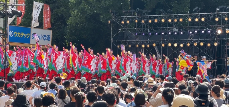 トラちゃんの2024年お盆休みの過ごし方前編 花火によさこい祭りに天体観測