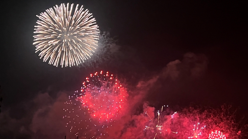 トラちゃんの2024年お盆休みの過ごし方前編 花火によさこい祭りに天体観測