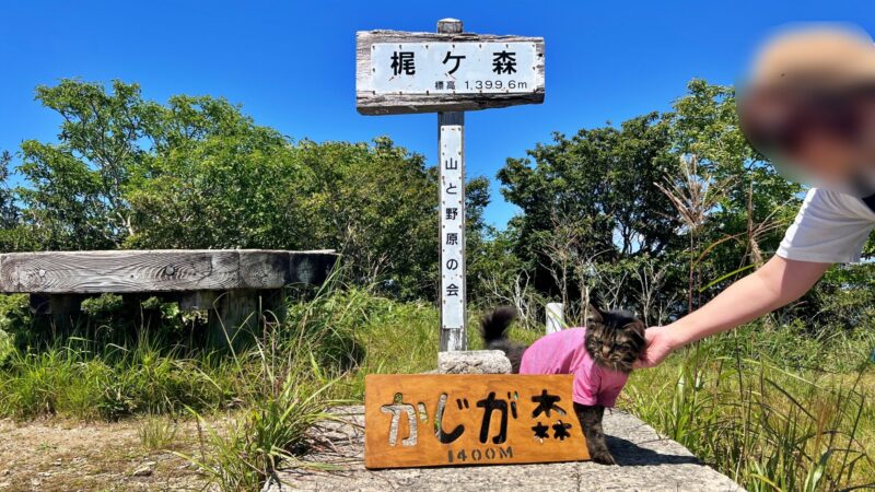 高知県の避暑地 梶ヶ森の山頂にペットと一緒に涼みに行ってみました お盆休みの後半はお山のてっぺんへ