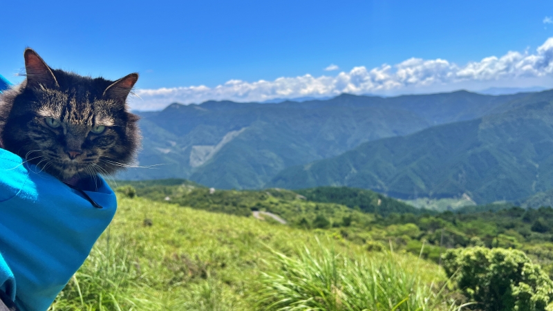 高知県の避暑地 梶ヶ森の山頂にペットと一緒に涼みに行ってみました お盆休みの後半はお山のてっぺんへ