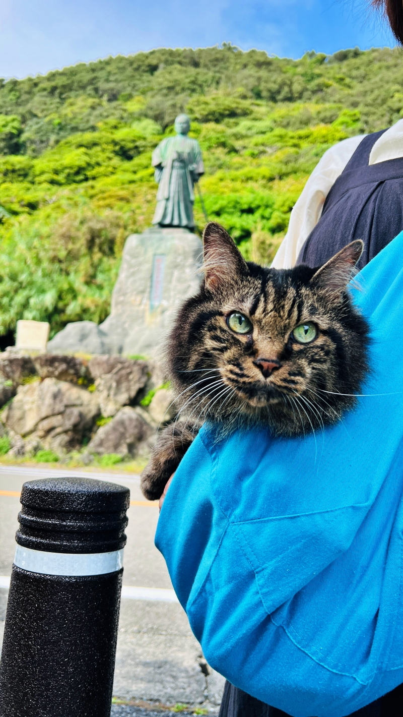 猫とキンメダイぬいぐるみ 室戸岬周辺をドライブしながら散策