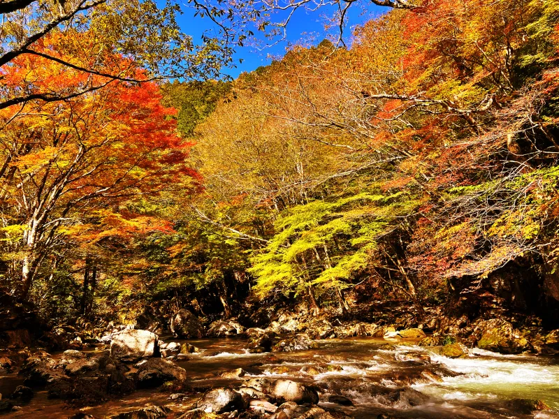 小田深山渓谷 紅葉を見に秋のドライブを楽しみながら行ったよ。