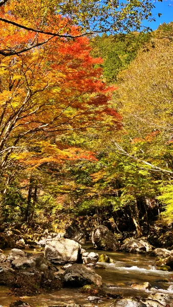 小田深山渓谷 紅葉を見に秋のドライブを楽しみながら行ったよ。