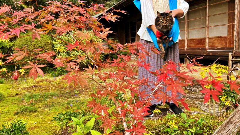 定福寺 紅葉の人気スポット ペットと秋のおでかけドライブ 高知県大豊町