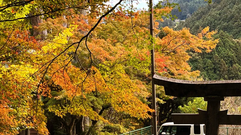 定福寺 紅葉の人気スポット ペットと秋のおでかけドライブ 高知県大豊町