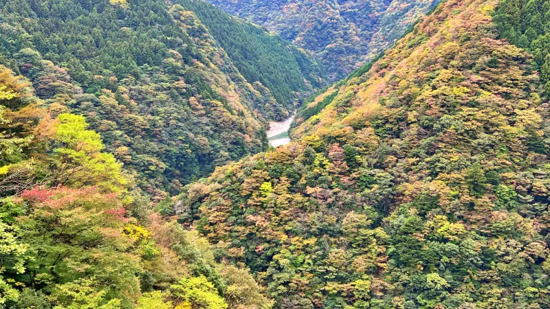 祖谷の小便小僧 ひの字渓谷 ペットと行く秋の紅葉ドライブ