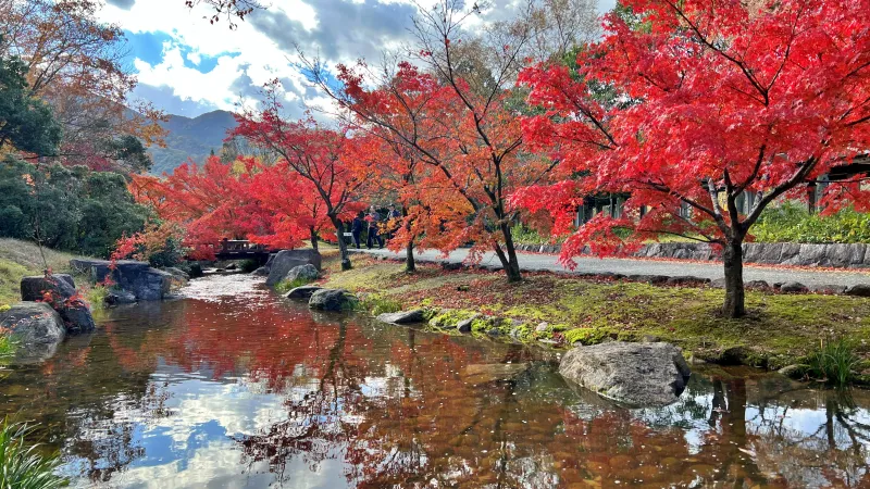 トラちゃん絶景の紅葉を散歩しながら楽しんだよ！ 香川用水記念公園