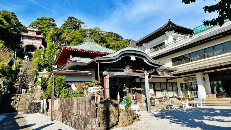 津照寺へ猫が行く！ 本堂へつながる階段を登ると海が一望できてる絶景