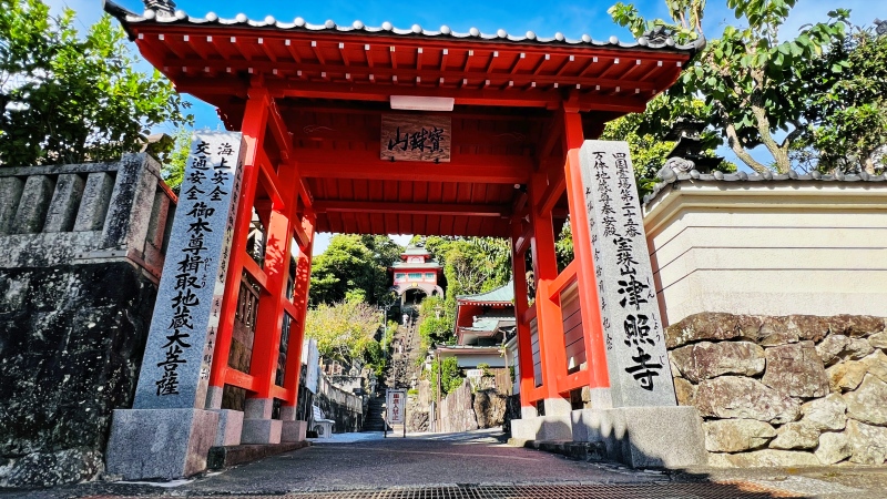 津照寺へ猫が行く！ 本堂へつながる階段を登ると海が一望できてる絶景