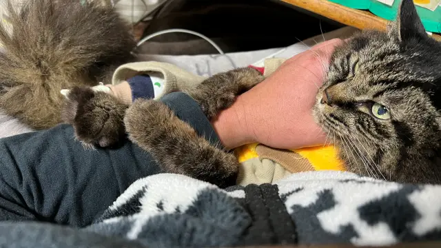 ゴールデンウイークらしいですね♪ 僕は飼い主とのんびり過ごします♪