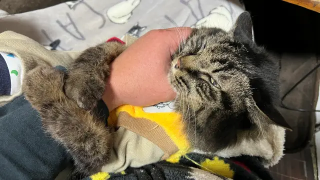 ゴールデンウイークらしいですね♪ 僕は飼い主とのんびり過ごします♪