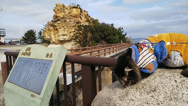 トラちゃんパワーを頂く！ 淡路島のパワースポット 絵島 えしま