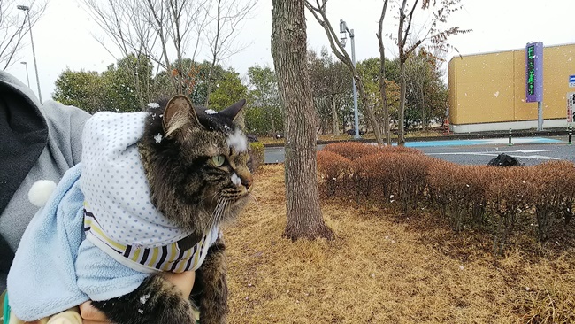 初めての雪でテンション上がってるようで上がってない！？ｗ